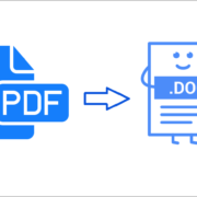 PDF to Word Convert